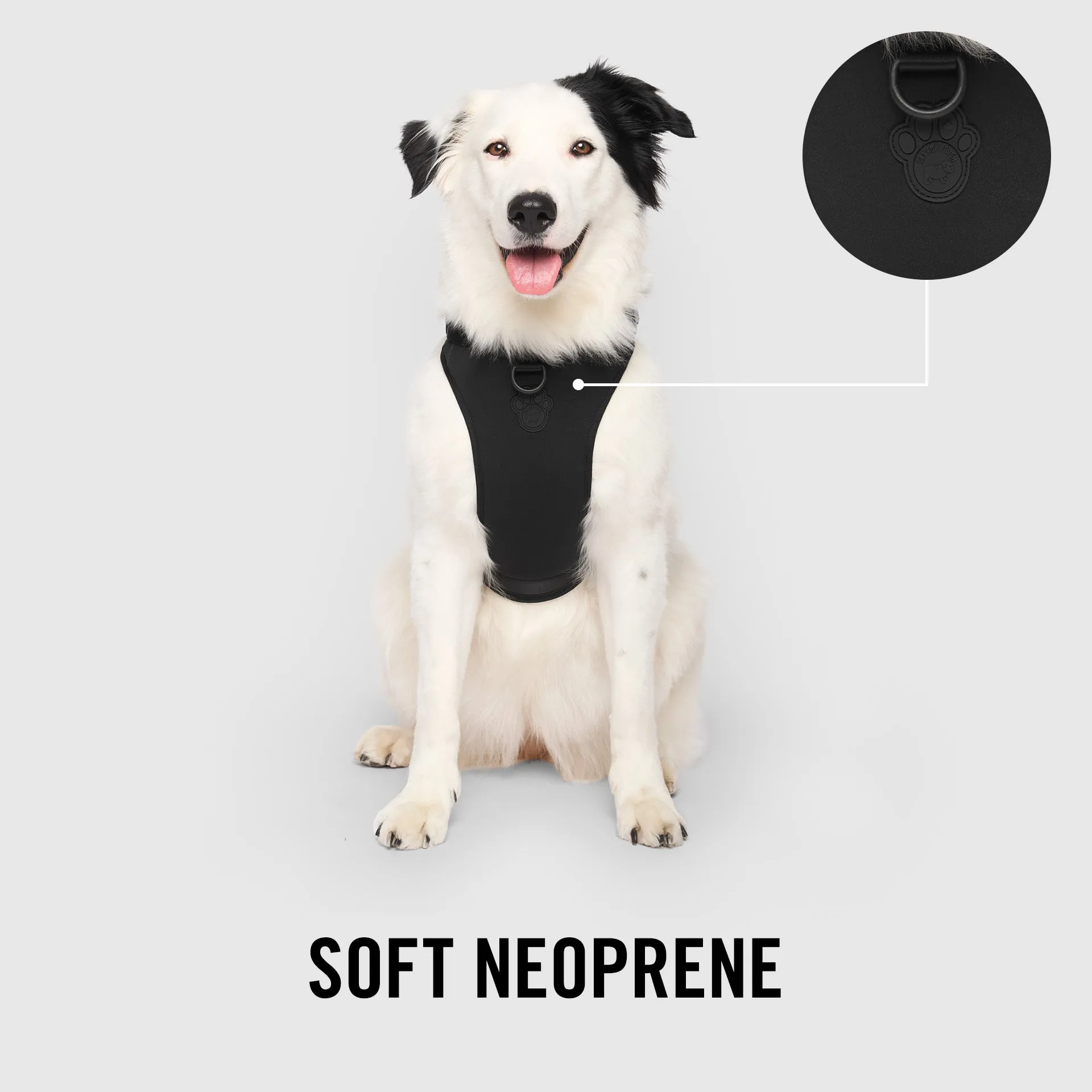 Neoprene Harness